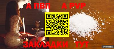 прущие грибы Можайск
