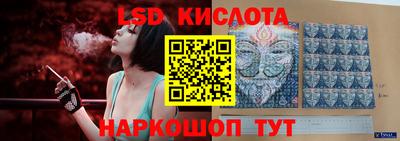 прущие грибы Можайск