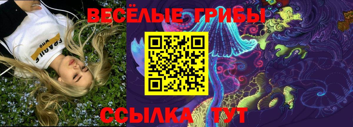 Псилоцибиновые грибы MAGIC MUSHROOMS Тихвин