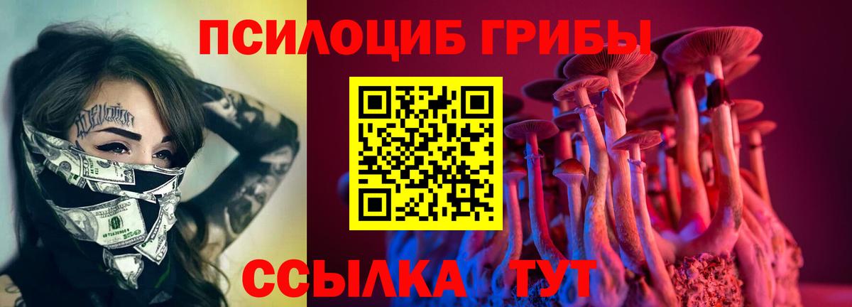 Тихвин  где можно купить наркотик  Вход с VPN  Галлюциногенные грибы GOLDEN TEACHER 